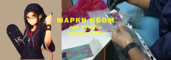 прущие грибы Белокуриха