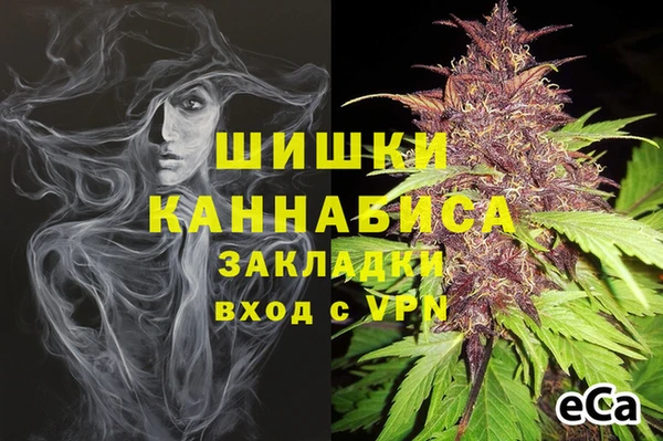 прущие грибы Белокуриха