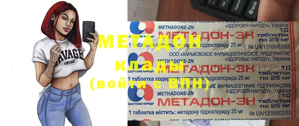 прущие грибы Белокуриха