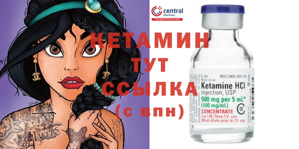 прущие грибы Белокуриха