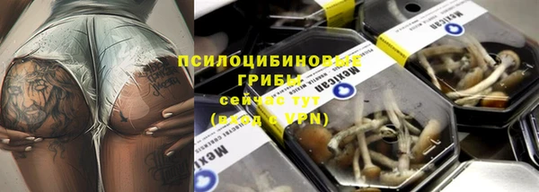 прущие грибы Белокуриха