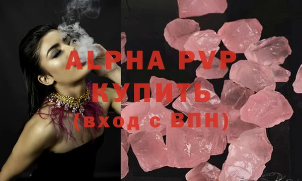 прущие грибы Белокуриха
