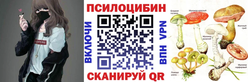 гидра как зайти  Короча  Псилоцибиновые грибы Psilocybine cubensis 